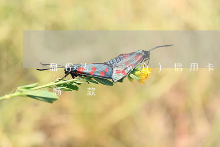 鼎程法務(wù)信用卡逾期協(xié)商還款