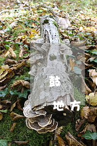 鼓樓區(qū)律師事務(wù)所在什么地方(觀音橋律師事務(wù)所電話)