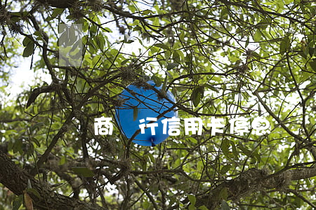 齊商銀行信用卡停息掛賬(招商信用卡停息掛賬)