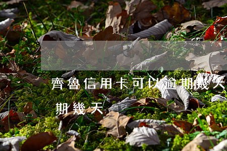 齊魯信用卡可以逾期幾天(齊魯信用卡可以逾期幾天)