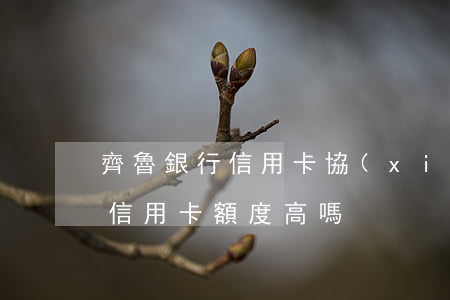 齊魯銀行信用卡協(xié)商 齊魯銀行的信用卡額度高嗎