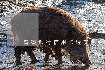 齊魯銀行信用卡透支利息