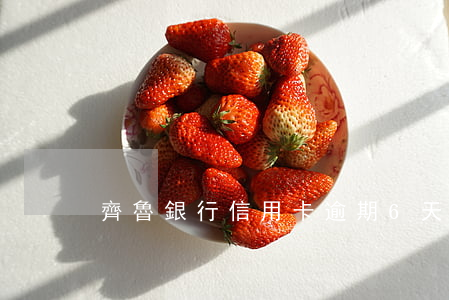 齊魯銀行信用卡逾期6天(信用卡逾期3天)