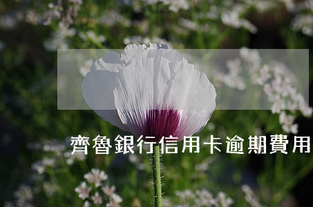 齊魯銀行信用卡逾期費用(信用卡 逾期 費用)
