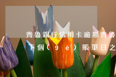 齊魯銀行信用卡逾期(齊魯銀行信用卡逾期,在下個(gè)賬單日之前還款)