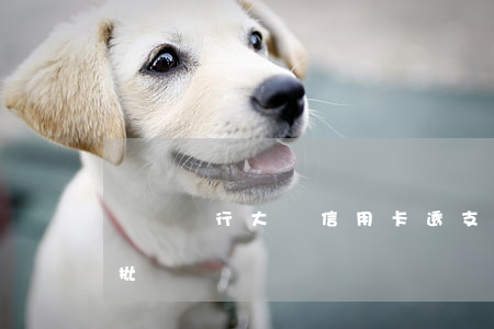 齊魯銀行大額信用卡透支(齊魯銀行信用卡好批嗎)
