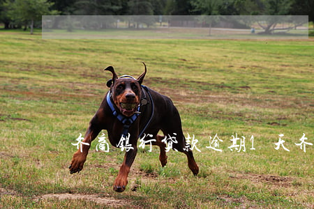 齐商银行贷款逾期1天(齐商银行还款晚一天)