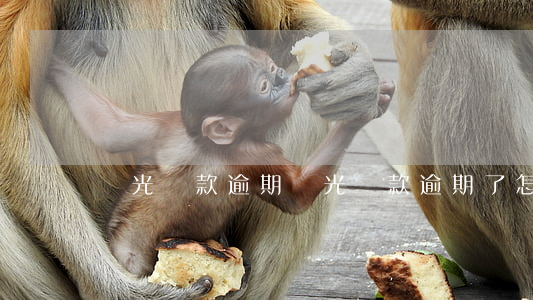 龍光貸款逾期(龍光貸款逾期了怎么辦)