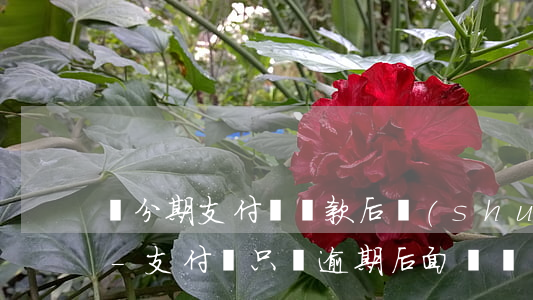 龍分期支付寶還款后說(shuō)我逾期-支付寶只還逾期,后面繼續(xù)分期還