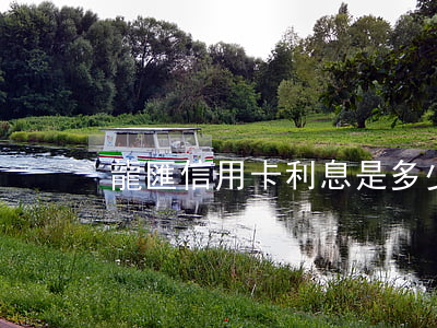 龍匯信用卡利息是多少 龍卡信用卡