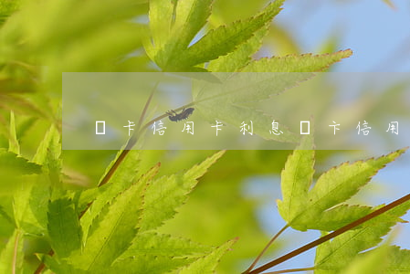龍卡信用卡利息(龍卞信用卡)