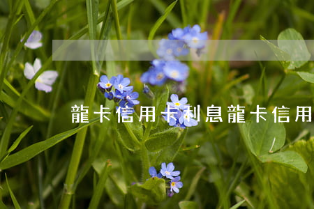 龍卡信用卡利息(龍卡信用卡利息從哪里來)
