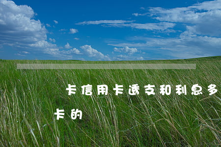 龍卡信用卡透支和利息多少(怎么還龍卡信用卡的錢)