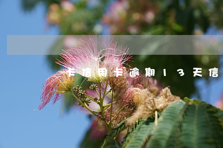 龍卡信用卡逾期13天(信用卡 逾期 1天)