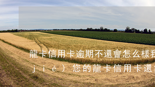 龍卡信用卡逾期不還會怎么樣(我行已凍結(jié)您的龍卡信用卡還能還款嗎)