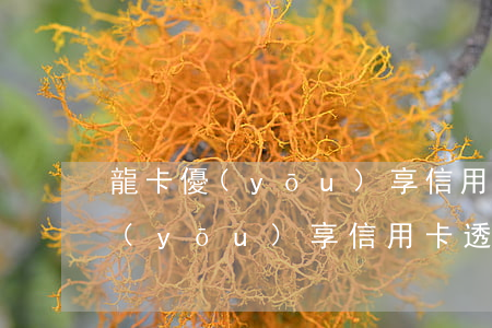 龍卡優(yōu)享信用卡透支額度(龍卡優(yōu)享信用卡透支額度)