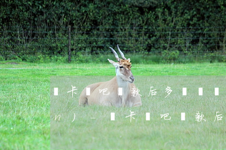 龍卡貸吧還款后多長時間可以取現(xiàn)-龍卡貸吧還款后多長時間可以取現(xiàn)啊