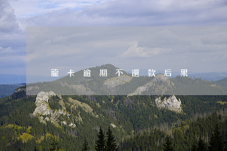 龍卡逾期不還款后果