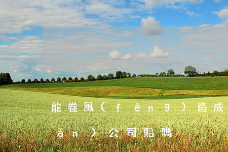 龍卷風(fēng)造成的損失保險(xiǎn)公司賠嗎