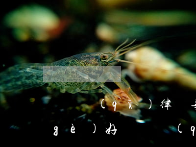 龍崗區(qū)律師事務(wù)所哪個(gè)好(龍崗區(qū)律師事務(wù)所哪個(gè)好)