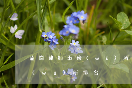 龍崗律師事務(wù)所排名(龍巖律師事務(wù)所排名)