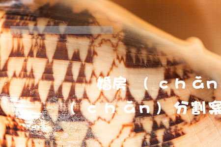 龍崗離婚房產(chǎn)分割律師(離婚房產(chǎn)分割案律師如何收費)