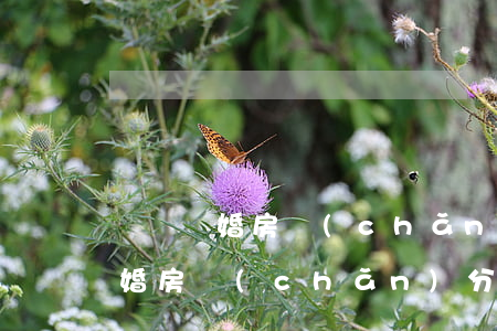 龍崗離婚房產(chǎn)分配律師(龍崗離婚房產(chǎn)分配律師)
