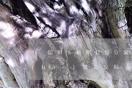 龍巖信用卡逾期公安立案(信用卡逾期銀行報(bào)警公安局會(huì)立案嗎)