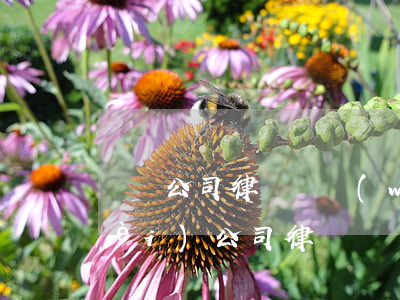 龍巖公司律師顧問(wèn)怎么收費(fèi)(公司律師顧問(wèn)收費(fèi)標(biāo)準(zhǔn))