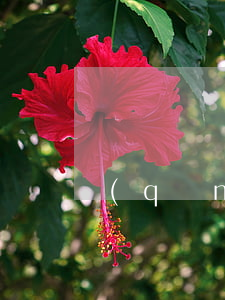 龍巖勞動(dòng)合同仲裁律師如何請(qǐng)(申請(qǐng)勞動(dòng)合同仲裁律師)