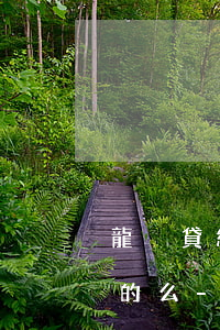 龍巖貸網(wǎng)貸逾期處理咨詢是真的么-龍巖貸款網(wǎng)