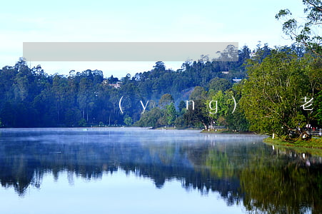 龍應(yīng)臺與老公離婚原因