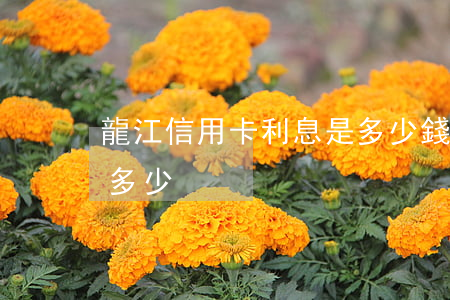 龍江信用卡利息是多少錢（龍江信用卡利息是多少）