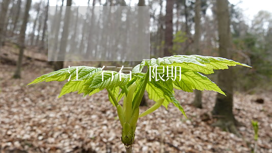 龍江銀行有寬限期嗎