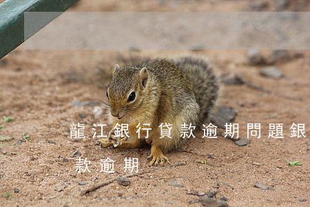 龍江銀行貸款逾期問題(銀行不提醒造成的貸款逾期)