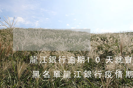 龍江銀行逾期10天就會(huì)被拉入黑名單?（龍江銀行疫情期間征信逾期）