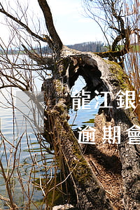 龍江銀行逾期多久會(huì)被起訴(銀行逾期會(huì)被起訴嗎)