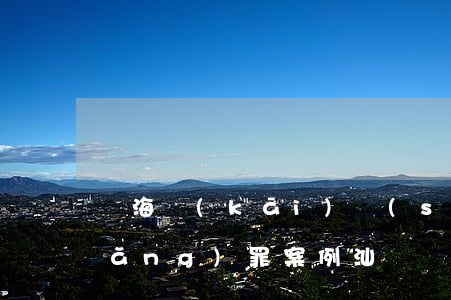 龍海開(kāi)設(shè)賭場(chǎng)罪案例(汕頭開(kāi)設(shè)賭場(chǎng)罪案例)