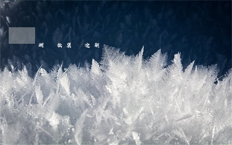 龍湖綻放集訓逾期