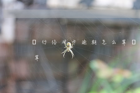 龍行信用卡逾期怎么算(龍行信用卡逾期怎么算)
