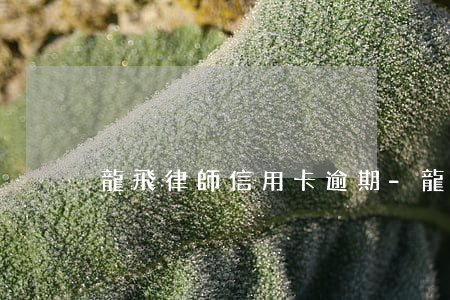 龍飛律師信用卡逾期-龍飛律師信用卡逾期