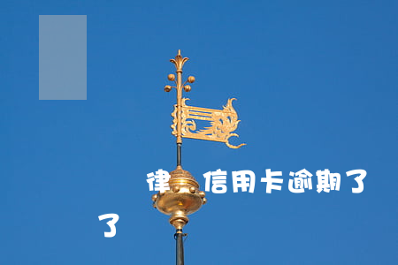 龍飛律師信用卡逾期了(龍飛律師信用卡逾期了)