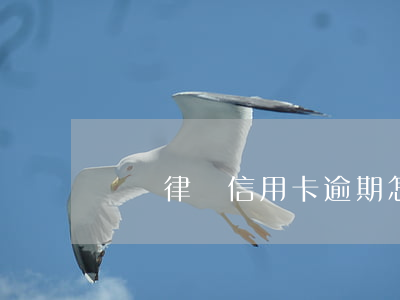 龍飛律師信用卡逾期怎么辦