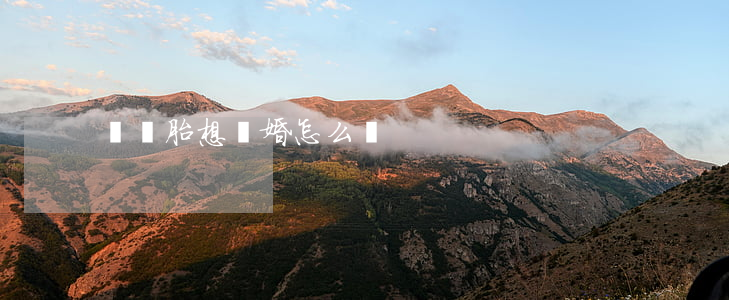 龍鳳胎想離婚怎么辦