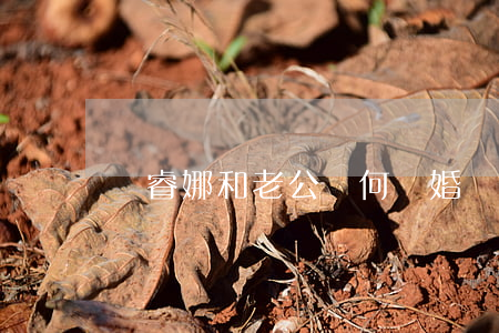 龔睿娜和老公為何離婚