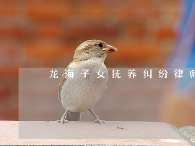 龙海子女抚养纠纷律师出庭收费