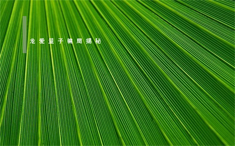 龙爱量子骗局揭秘