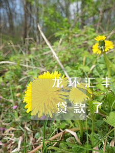 龙环汇丰车贷靠谱吗(我在龙环汇丰车辆抵押贷款了)