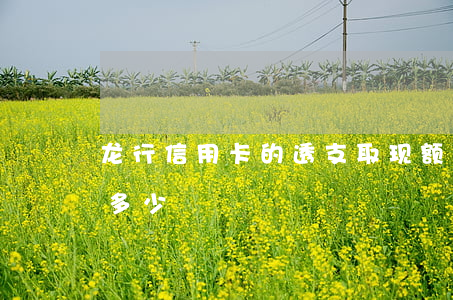 龙行信用卡的透支取现额度(龙卡取现额度是多少)