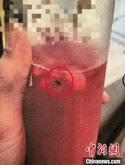 起诉敲诈勒索(买奶茶后放入虫子敲诈9万余元 4人涉敲诈勒索罪被起诉)